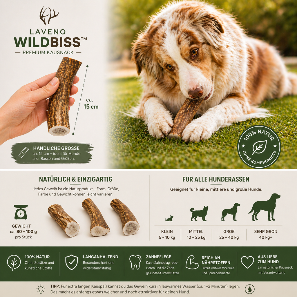 Hirschgeweih ganz Kaugeweih Größe M | 80-100 g Laveno WildBiss™